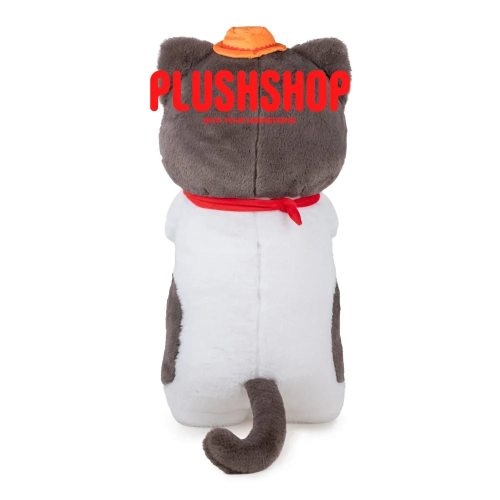 Ace Meowtube