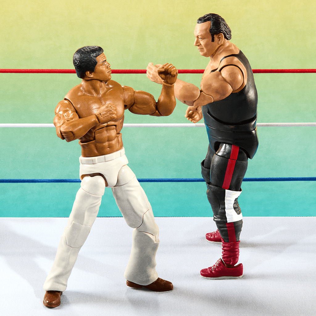 WWE Elite Collection Legends From the Territory Era 4-Figure Multipack
