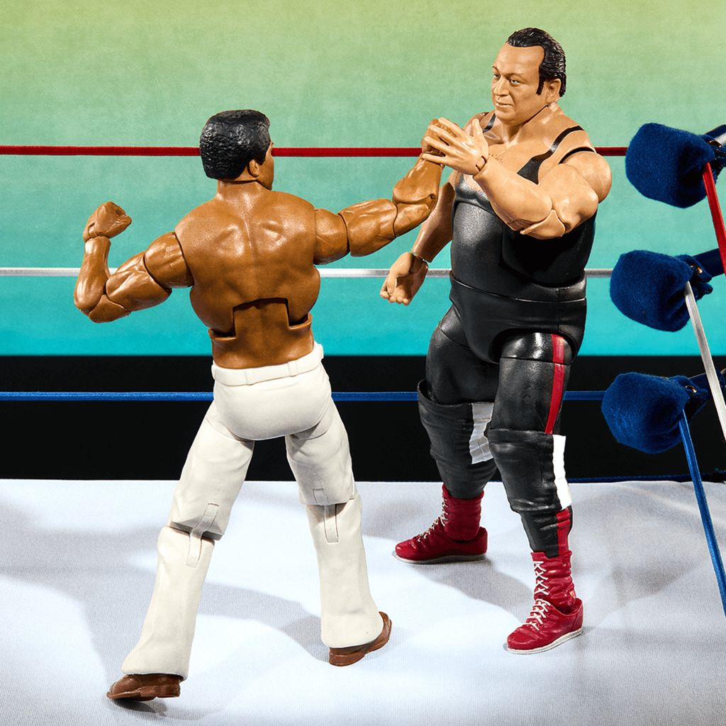 WWE Elite Collection Legends From the Territory Era 4-Figure Multipack
