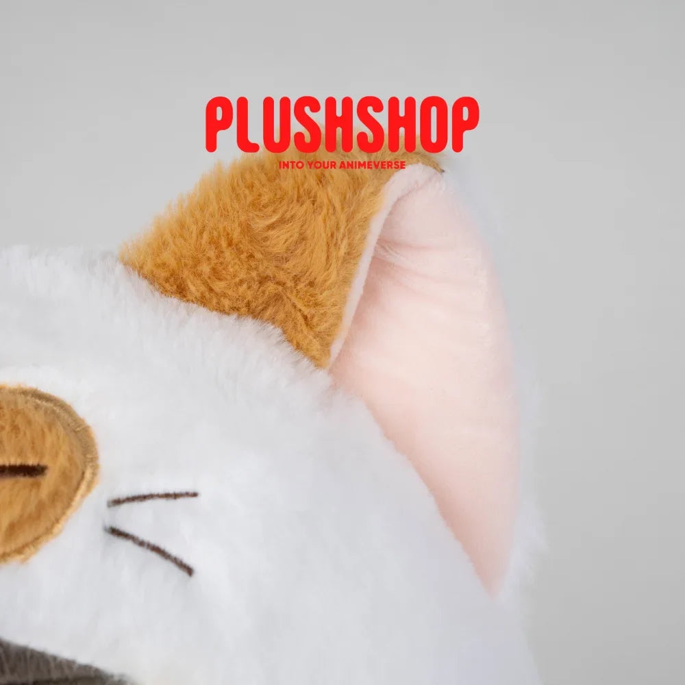 Kenma Meowtube