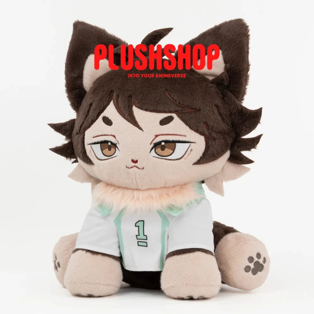 Oikawameow[Last 1pc]