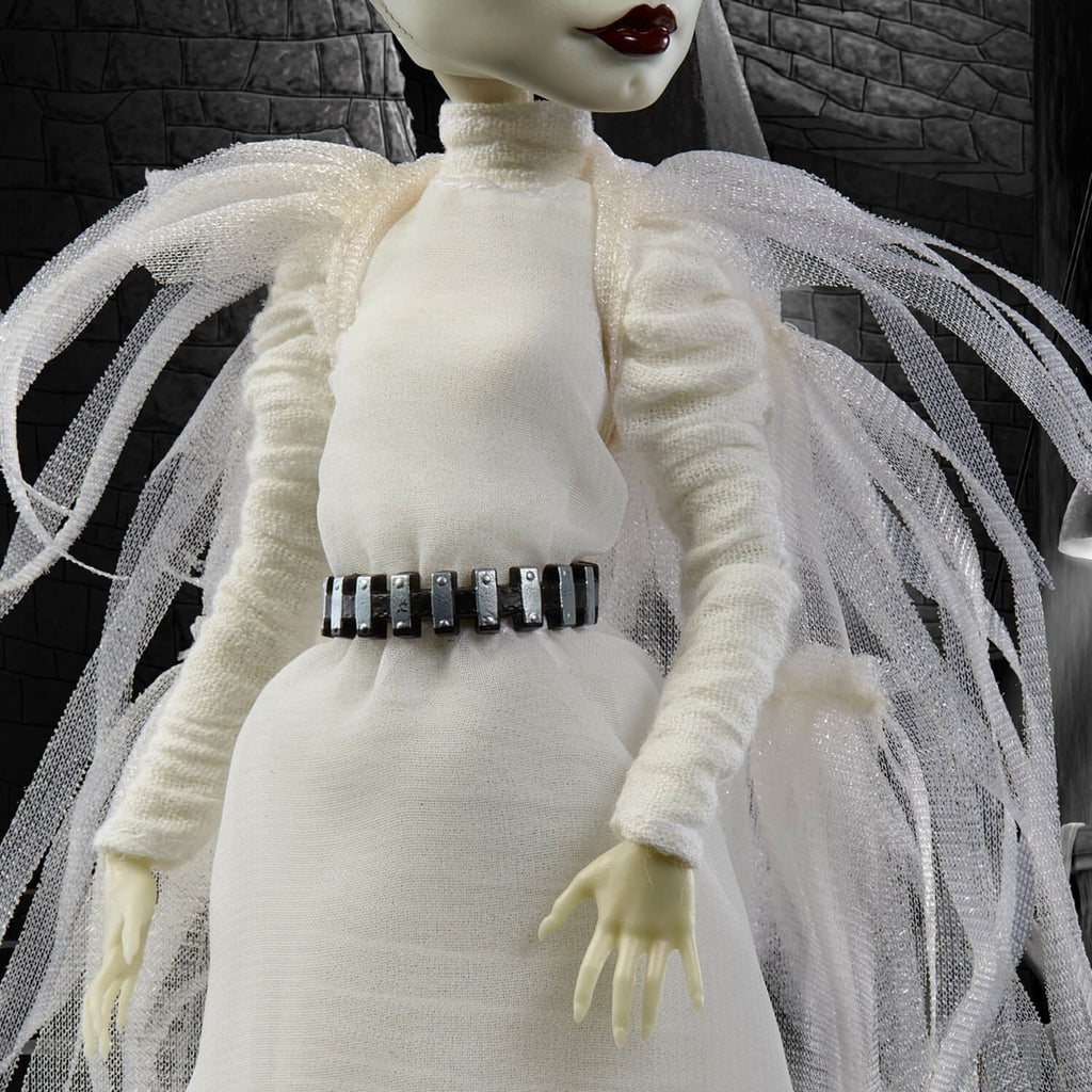 Frankenstein & Bride of Frankenstein Monster High Skullector Doll Set